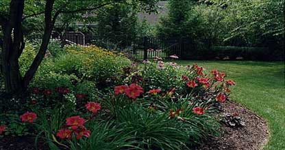 Lindsey OverHead - 076